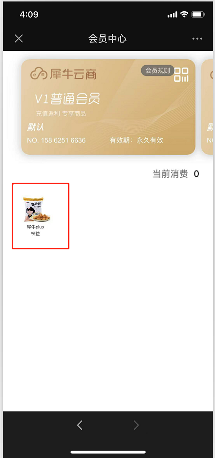 3.3.8 会员权益 - 图4