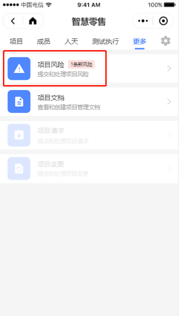6.2 项目风险 - 图1